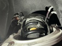 IMG_0413.JPEG IMG_0413.JPEG