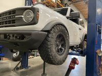 IMG_0406.JPEG IMG_0406.JPEG