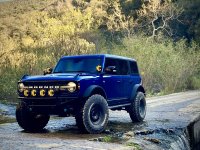 IMG_6227.jpeg IMG_6227.jpeg