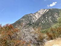 IMG-6421.jpg IMG-6421.jpg