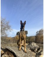 IMG_2015.jpg IMG_2015.jpg