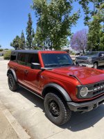 IMG_7207.jpeg