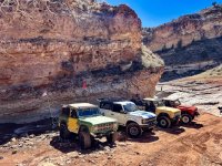 IMG_7341.JPEG IMG_7341.JPEG