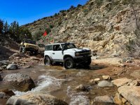 IMG_6984.JPEG IMG_6984.JPEG