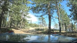 IMG_0359.jpeg IMG_0359.jpeg