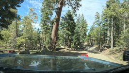 IMG_0360.jpeg IMG_0360.jpeg