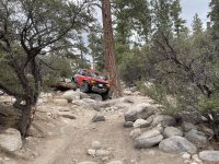 IMG_3316.JPG IMG_3316.JPG