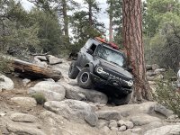 IMG_3339.JPG IMG_3339.JPG