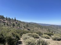 IMG_3359.JPG IMG_3359.JPG