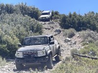 IMG_3374.JPG IMG_3374.JPG