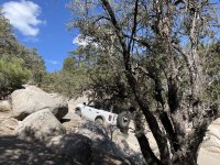 IMG_8059.JPG IMG_8059.JPG