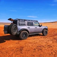 BuckingGreyBronco