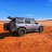 BuckingGreyBronco